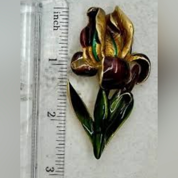 Boston MFA (Museum of Fine Arts) IRIS Enamel Brooch - Picture 13 of 13